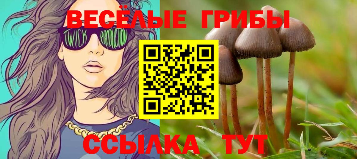 Псилоцибиновые грибы Cubensis Урюпинск