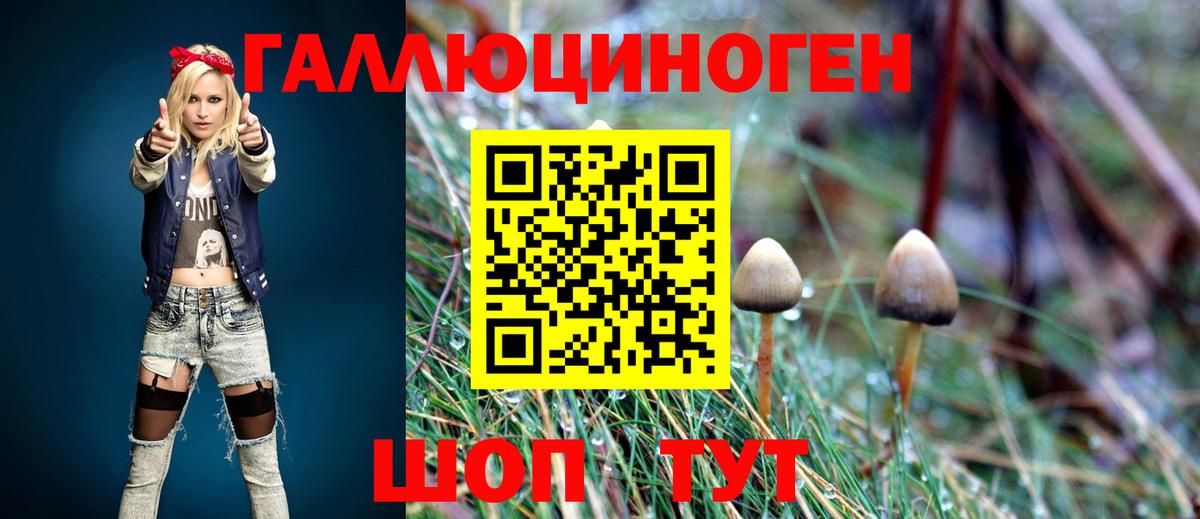Галлюциногенные грибы прущие грибы  что такое наркотик  Урюпинск  Вход с VPN 