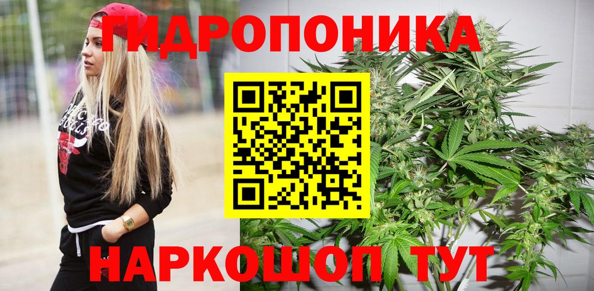 Урюпинск  Марихуана OG Kush  Вход с VPN  Бошки марихуана Amnesia  Марихуана ГИДРОПОН 